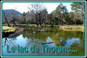 Foire à tout - Vide-grenier – Brocante