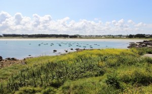 Salon antiquités brocante