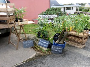 Vide-greniers de l ’association Sainte-Anne Prat-Ar-Raz Plonéis