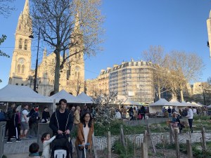 Antiquités Brocante Pro. Boulevard Voltaire