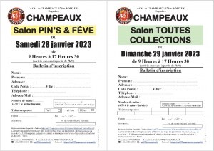 Salon MultiCollections 29/01/2023 à CHAMPEAUX (77)