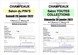 Salon MultiCollections 30/01/2022 à CHAMPEAUX (77)
