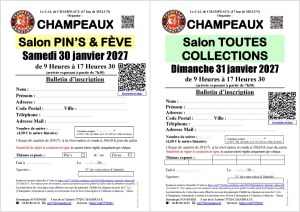Salon MultiCollections 31/01/2027 à CHAMPEAUX (77)