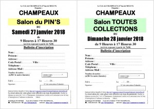 Salon MultiCollections 28/01/2018 à CHAMPEAUX (77)