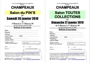 Salon du Pin's le 26/01/2019 à CHAMPEAUX (77)
