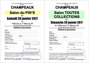 Salon du Pin's le 28/01/2017 à CHAMPEAUX (77)