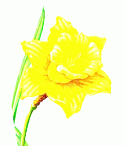 10ème BROCANTE de PRINTEMPS de L'A.P.L.P.P