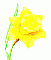 10ème BROCANTE de PRINTEMPS de L'A.P.L.P.P