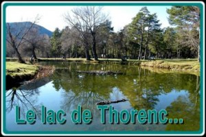 Foire a tout -Braderie - Vide grenier au Lac de Thorenc 06750