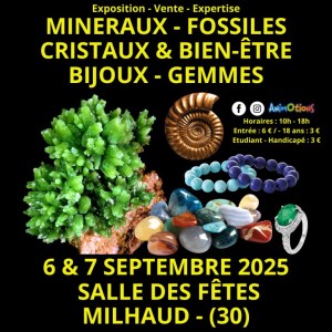 Salon Minéraux Fossiles Cristaux & Bien-Être Bijoux et Gemmes de Nîmes