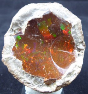 3 éme salon-vente minéraux fossiles micro-minéraux coquillages sables (17390) La Tremblade