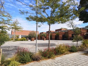 BROCANTE DE NOEL VILLE DE BALMA 14 DECEMBRE 2025