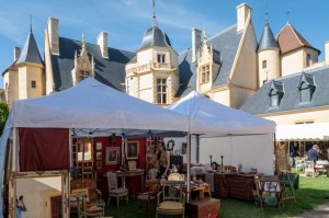 Salon des Curiosités du Château d'Ainay-le-Vieil