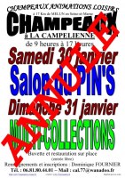 Salon MultiCollections 31/01/2021 à CHAMPEAUX (77) - ANNULÉ